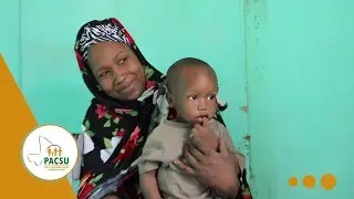 Success story CSCOM GAO